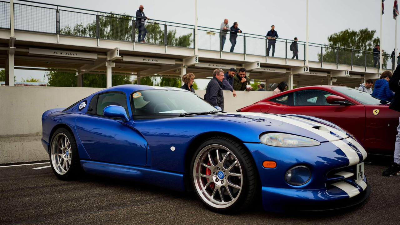Dodge Viper (साप) - 'वायपर' हा अत्यंत वेगवान आणि विषारी साप म्हणून ओळखला जातो. Dodge Viper चे डिझाइन आणि प्रचंड इंजिन पॉवर या नावाला पूर्ण न्याय देतात. ही कार अमेरिकन स्पोर्ट्स कार्समधील एक दिग्गज मानली जाते.
