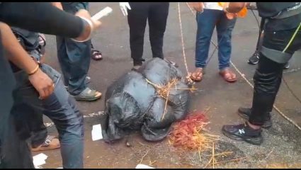 Ambenali Ghat crime : धक्कादायक! स्वतःच्या आजीचा खून करून मृतदेह घाटात फेकला; आरोपी पोलिसांच्या ताब्यात