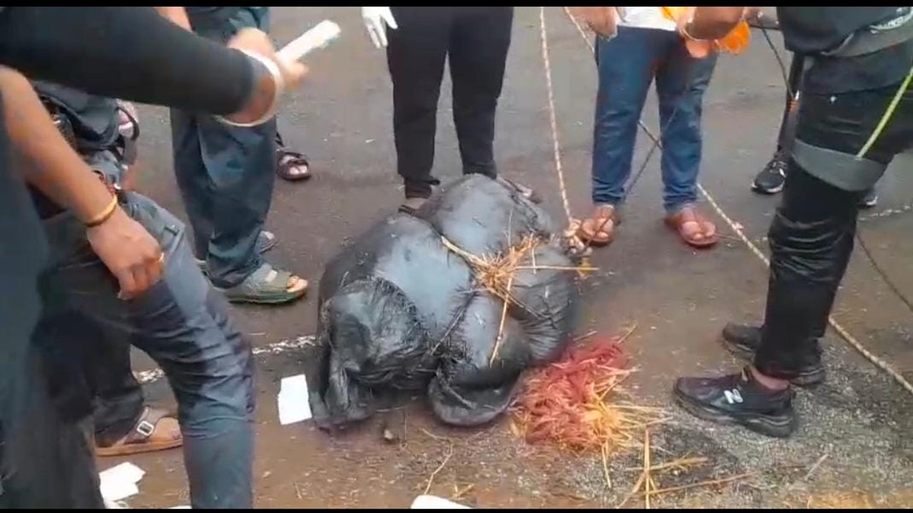 Ambenali Ghat crime : धक्कादायक! स्वतःच्या आजीचा खून करून मृतदेह घाटात फेकला; आरोपी पोलिसांच्या ताब्यात