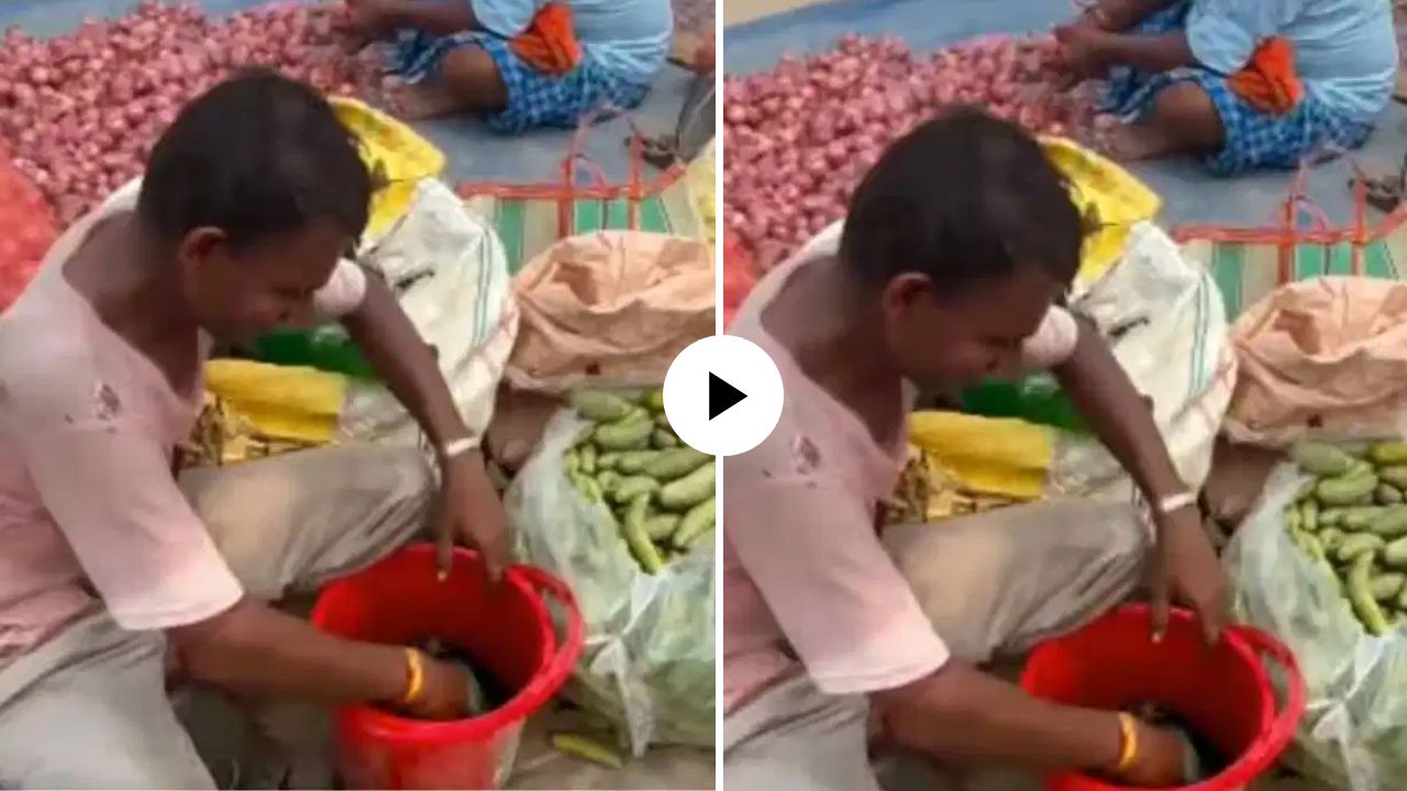 लोकांच्या आरोग्याशी खेळ! हिरव्या रंगात बुडवून विकली जातेय काकडी? भाजीवाल्याचा कारनामा येईल संताप, Video Viral