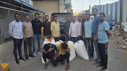 चाकणमध्ये अंमली पदार्थ विरोधी पथकाची मोठी कारवाई, तब्बल 83 किलो गांजा पकडला; स्कॉर्पिओही जप्त