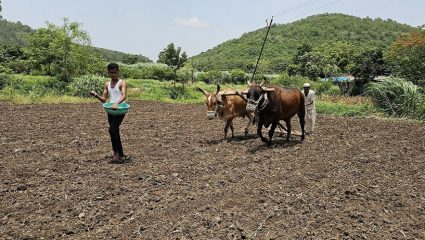 खेड तालुक्यातील शेतकरी अद्यापही पावसाच्या प्रतीक्षेत; धूळवाफेवर भात पेरणीला सुरुवात