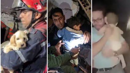 Venezuela Earthquake : विनाशकारी भूकंपानंतर थरारक रेस्क्यू; नवजात बालकांसह श्वानालाही मिळाले जीवनदान, VIDEO