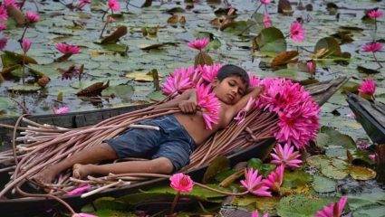 Global Sleep Atlas : ‘ग्लोबल स्लीप ॲटलस’चा धक्कादायक अहवाल; भारतीयांना लागतेय गाढ झोप, तर ‘या’ देशातील लोकांची उडालीये झोप