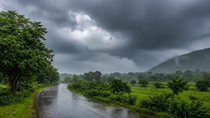 India Rain Alert: पावसाची जोरदार हजेरी! 24 राज्यांत वादळी पावसाचा इशारा, हवामान विभागाचा मोठा अंदाज