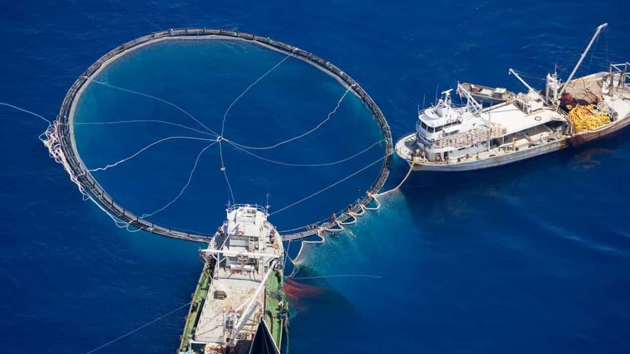 Stop IUU Fishing : समुद्रातील अथांग खजिन्यावर डल्ला! बेकायदेशीर मासेमारीमुळे कोट्यवधी मच्छिमारांचे अस्तित्व धोक्यात, वाचा सविस्तर