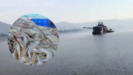 Konkan News : लोटे प्रदूषणात घट अन् खाडीत जीवसृष्टीची चाहूल; कोळंबी-खेकड्यांच्या पुनरागमनाने मच्छीमार सुखावले