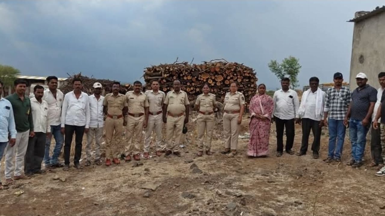 Solapur News: तांबेवाडी तांड्यावर छापा टाकत ३५ टन अवैध लाकूड जप्त; १२ हून अधिक शेतकऱ्यांवर गुन्हे दाखल