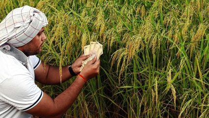 Cabinet Decision : फडणवीस मंत्रिमंडळाचा मोठा निर्णय! वंचित शेतकऱ्यांनाही मिळणार कर्जमाफी; १४ हजार कोटींची तरतूद