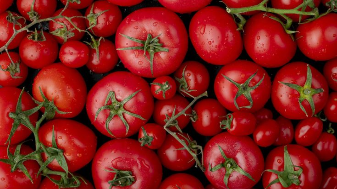 Tomato Price Hike: टोमॅटोचे भाव 70 रुपयांच्या पार, भाव कमी करण्यासाठी सरकारने घेतला मोठा निर्णय?