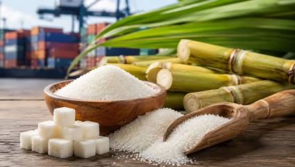 India Sugar Export Ban : साखरेवर भारताचा ब्रेक ; El Nino मुळे तीन हंगामांसाठी निर्यातीवर बंदी