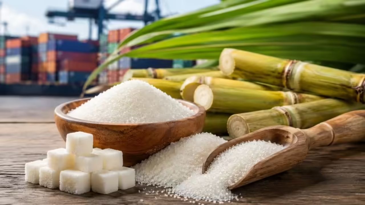 India Sugar Export Ban : साखरेवर भारताचा ब्रेक ; El Nino मुळे तीन हंगामांसाठी निर्यातीवर बंदी
