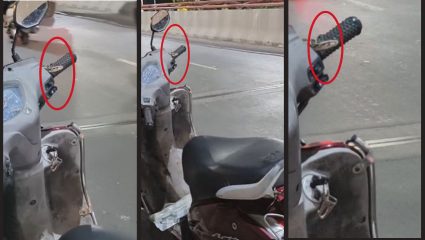 Mira Bhayandar News : मीरा-भाईंदरमध्ये धक्कादायक प्रकार! धावत्या अ‍ॅक्टिवामधून अचानक बाहेर आला साप, चालकाची उडाली तारांबळ
