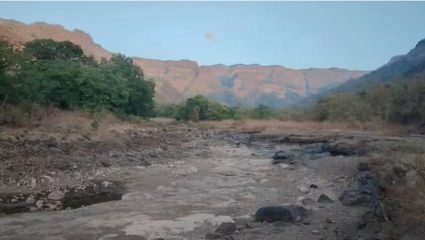 Karjat News : साई डोंगरावरील 150 एकर वनजमिनीवर आदिवासींचा दावा; हक्कासाठी लढ्याची घोषणा