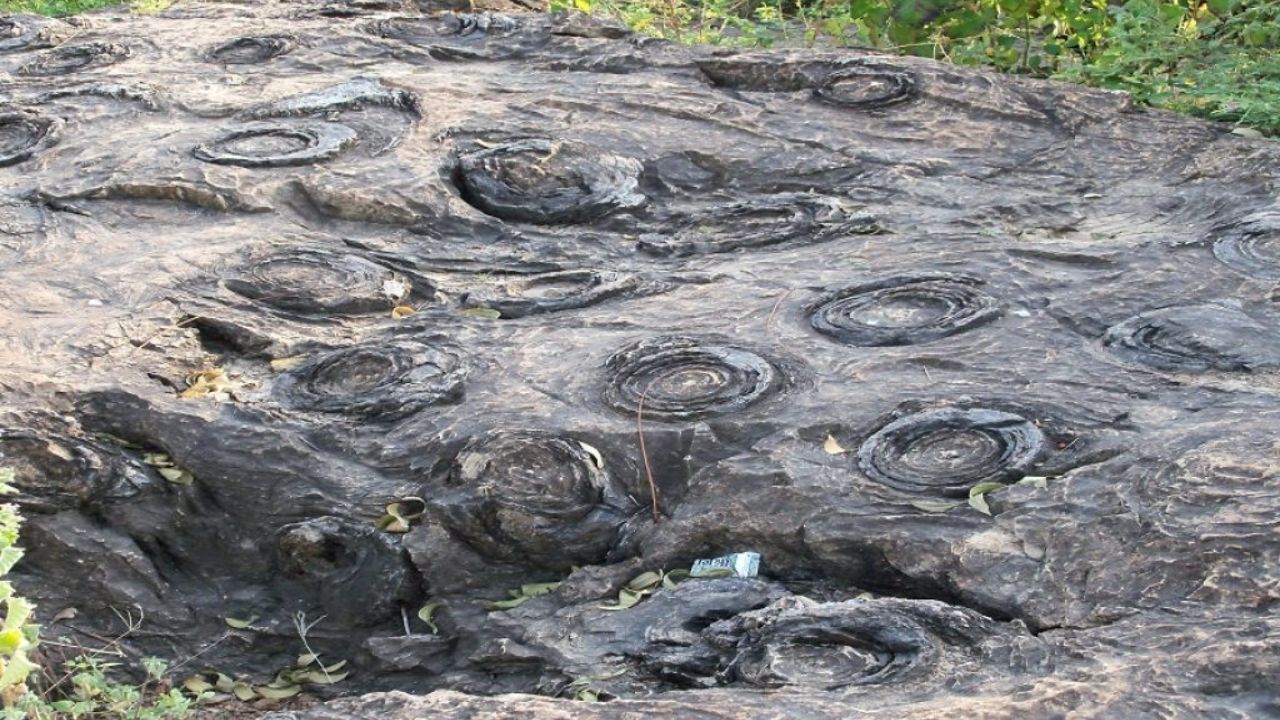 Salkhan Fossil : पृथ्वीच्या जन्माची गोष्ट सांगणारे ‘सोनभद्र’! 40 देशांतील शास्त्रज्ञांनाही समजली ताकद; बनणार जागतिक पर्यटन स्थळ