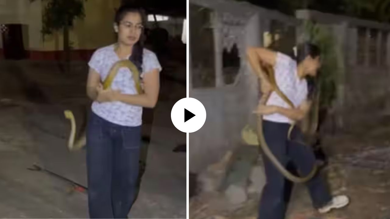 ताई तर धुरंधर निघाल्या! लांबलचक सापाला दोरीसारखं पकडलं अन्…; VIDEO पाहून नेटकरी आवाक्