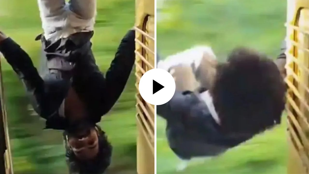 Stunt Video : धाडस की मुर्खपणा? क्षणिक प्रसिद्धीसाठी तरुणाचा धोकादायक स्टंट; धावत्या ट्रेनला उलटा लटकला अन्…, Video Viral