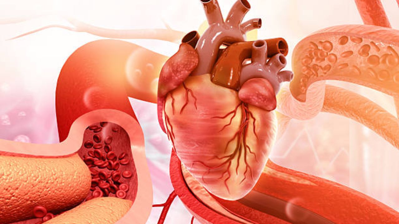 Health Update: मुंबईत टीएव्हीआर प्रक्रियांमध्ये २५% वाढ! विकसित आणि तंत्रज्ञान-आधारित कार्डियाक केअर इको सिस्टीमपैकी एक