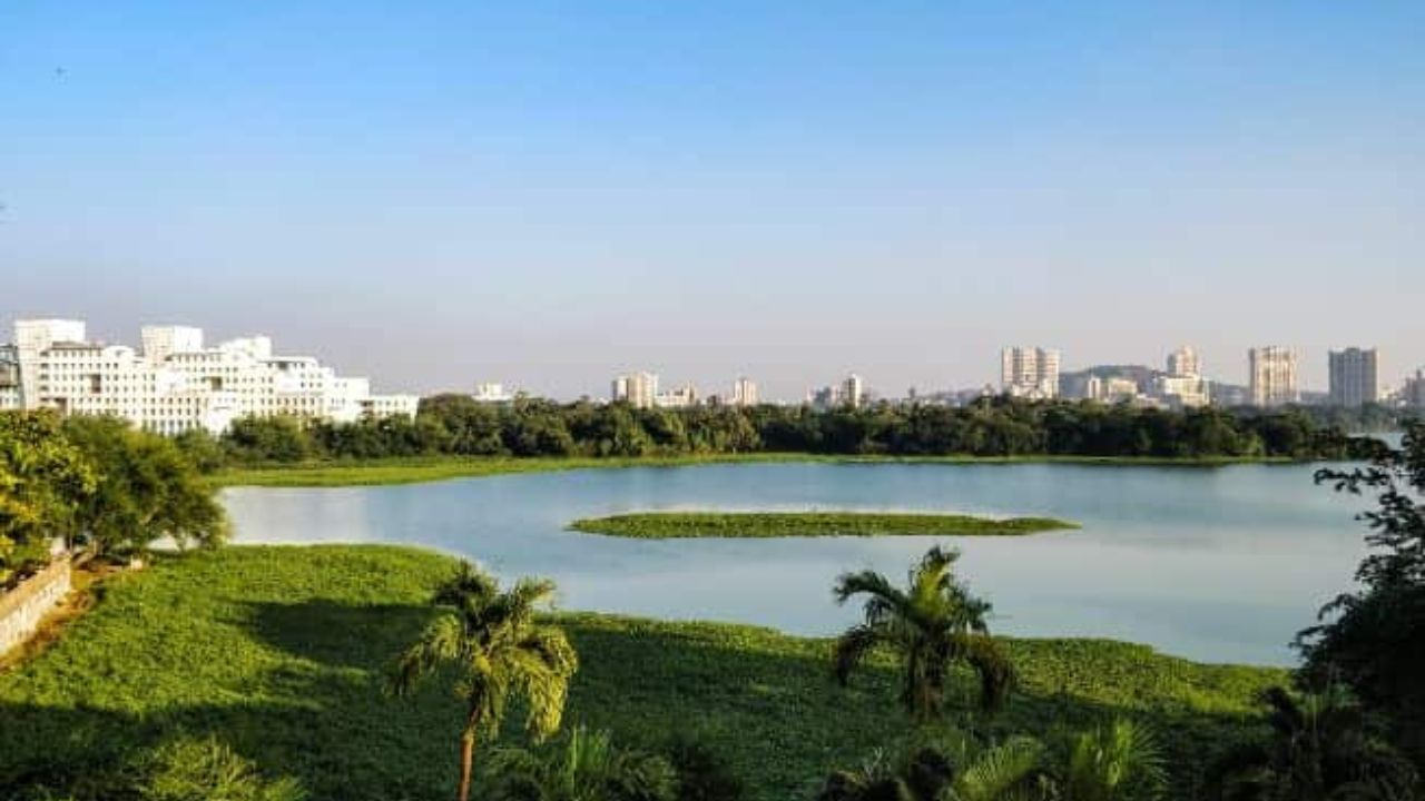 Mumbai News: पवई तलावाचे अस्तित्व आले धोक्यात! दररोज सोडले जाते १८ दशलक्ष लीटर मलजल; महापालिकेचे अक्षम्य दुर्लक्ष
