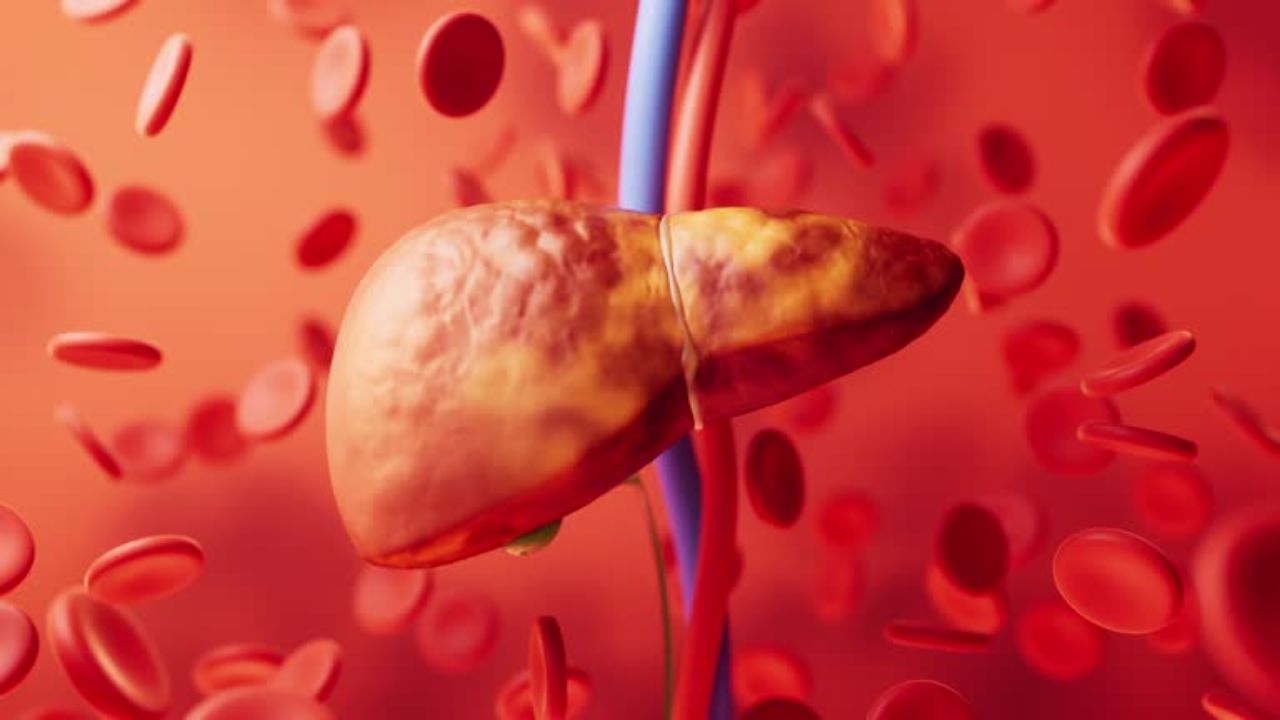अल्कोहोल युक्त पदार्थांचे सेवन न करून सुद्धा Fatty liver चा त्रास वाढला आहे? लिव्हरचे आजार टाळण्यासाठी नियमित खा ‘हे’ पदार्थ
