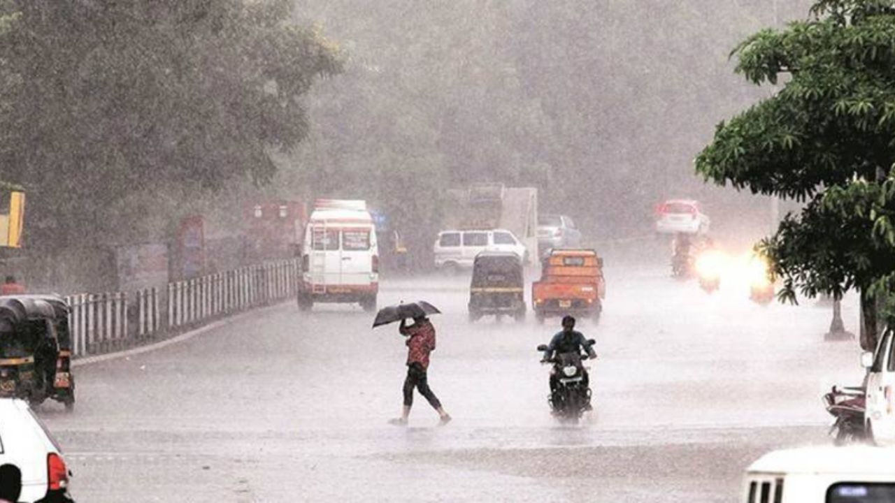 Vidarbha Monsoon: विदर्भात अखेर मान्सूनची एंट्री; पण शेतकऱ्यांना  हवामान विभागाचा महत्त्वाचा सल्ला