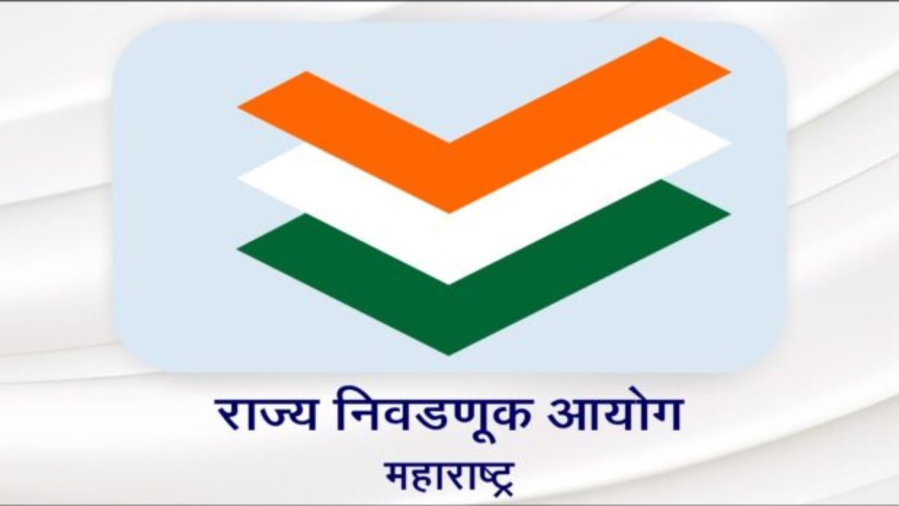 राज्यातील नगर परिषद आणि नगरपंचायत निवडणुका शांततेत पार; ७२ टक्क्यांहून अधिक मतदान, मतमोजणीही निर्विघ्न