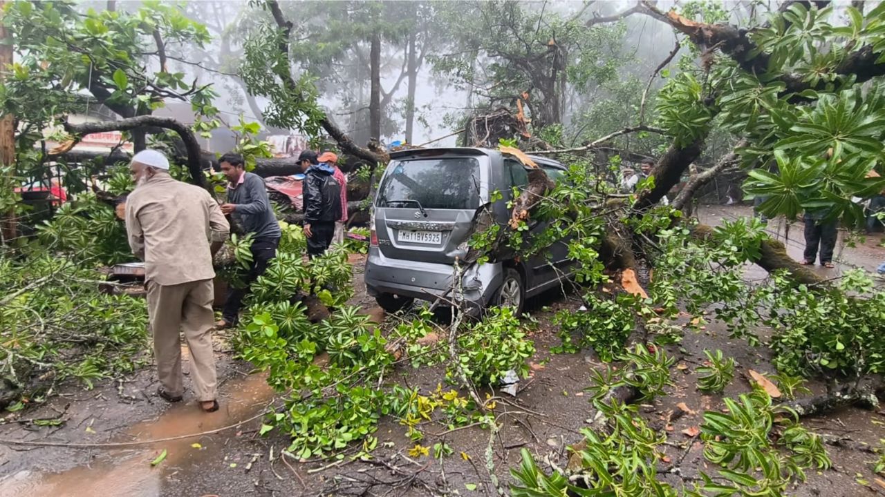 Wai News: पाचगणीत महाकाय वृक्ष उन्मळून मुख्य रस्त्यावर कोसळले; दोन वाहनांसह चहाची टपरी चक्काचूर, सुदैवाने जीवितहानी टळली!