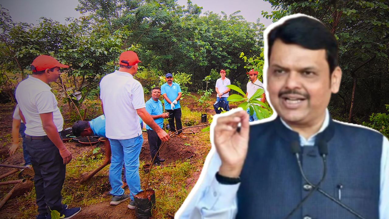 ‘११ कोटी वृक्षलागवडीचे उद्दिष्ट पूर्ण करा’; मुख्यमंत्री देवेंद्र फडणवीस यांचे प्रशासनाला निर्देश