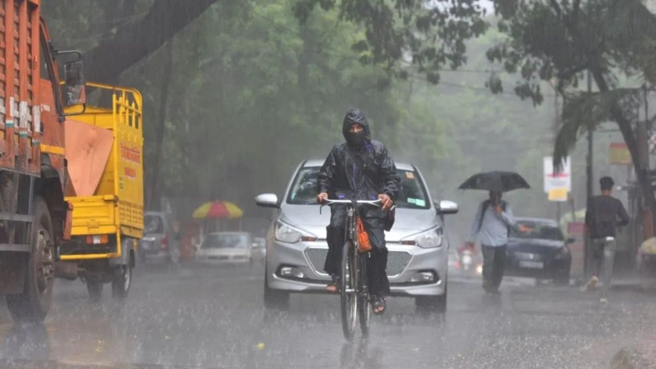 Maharashtra Weather Update: राज्यात मान्सून सक्रिय!  १५ जिल्ह्यांमध्ये ऑरेंज अलर्ट, १० जिल्ह्यांत मुसळधार