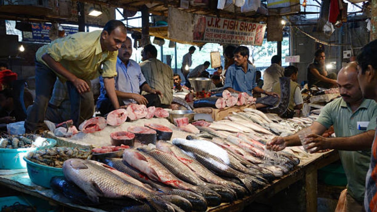 माशांचे स्वरूप, वास, कल्ल्यांचा रंग आणि शारीरिक स्थिती यांसारख्या गोष्टींवर विशेष लक्ष देऊनच माशांची खरेदी करावी. शिळे मासे शरीराला हानी पोहचवतात.