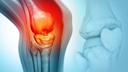 Osteoporosis म्हणजे काय? ऑर्थोपेडिक तज्ज्ञांइतकाच एंडोक्रायनोलॉजिस्ट का ठरतात महत्वाचे, जाणून घ्या सविस्तर