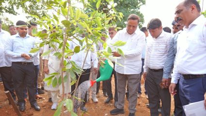 जागतिक पर्यावरण दिनानिमित्त ८० एकर जागेत ५ लाख वृक्षारोपण मोहिम, आरे परिसरात जंगल निर्माण करणार, मंत्री आशिष शेलार यांची ग्वाही