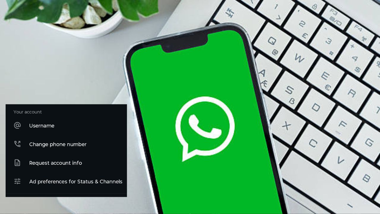 WhatsApp Update: युजर्सची प्रतीक्षा संपली! आता चॅटिंगसाठी नंबर शेअर करण्याची गरज नाही; मेटाने रिलीज केलं नवं Username फीचर