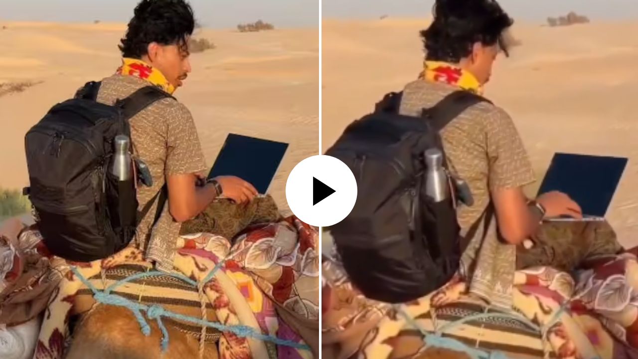 Work From Bike नंतर आता थेट Work From Camel; भर वाळवंटात बसून पठ्ठ्याचं काम, Video Viral