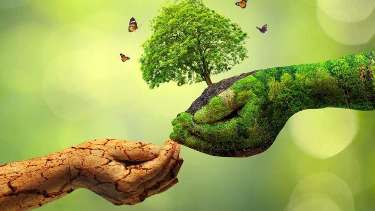 Combating Drought: नापीक जमीन आणि पाण्याचे भीषण संकट; ‘या’ कारणामुळे संयुक्त राष्ट्रे दरवर्षी साजरा करतात ‘वाळवंटीकरण विरोधी दिन’