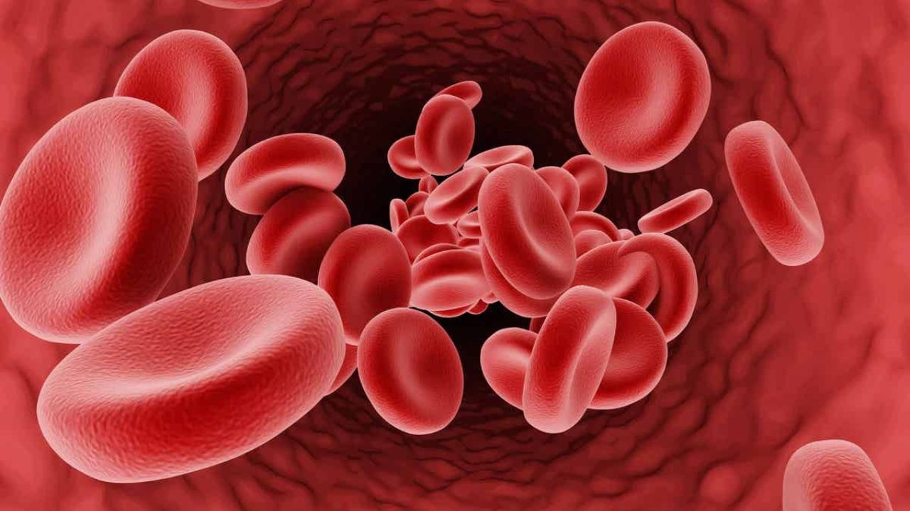 World Sickle Cell Day : विळ्याच्या आकाराच्या रक्तपेशी आणि असह्य वेदना; जाणून घ्या काय आहे ‘सिकल सेल’ आजार?