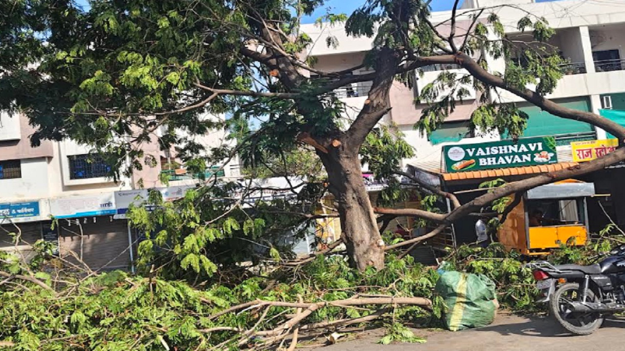 Baramati Rain : बारामती परिसरात वादळी पावसाने मोठे नुकसान; शहरासह तालुक्यातील अनेक झाडे कोसळली