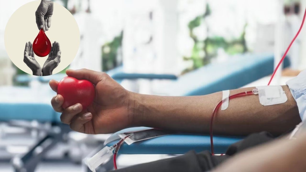 Blood Donation: रक्तदान करण्यासाठी तुम्ही फिट आहात का? जाणून घ्या आरोग्याचे महत्त्वाचे नियम