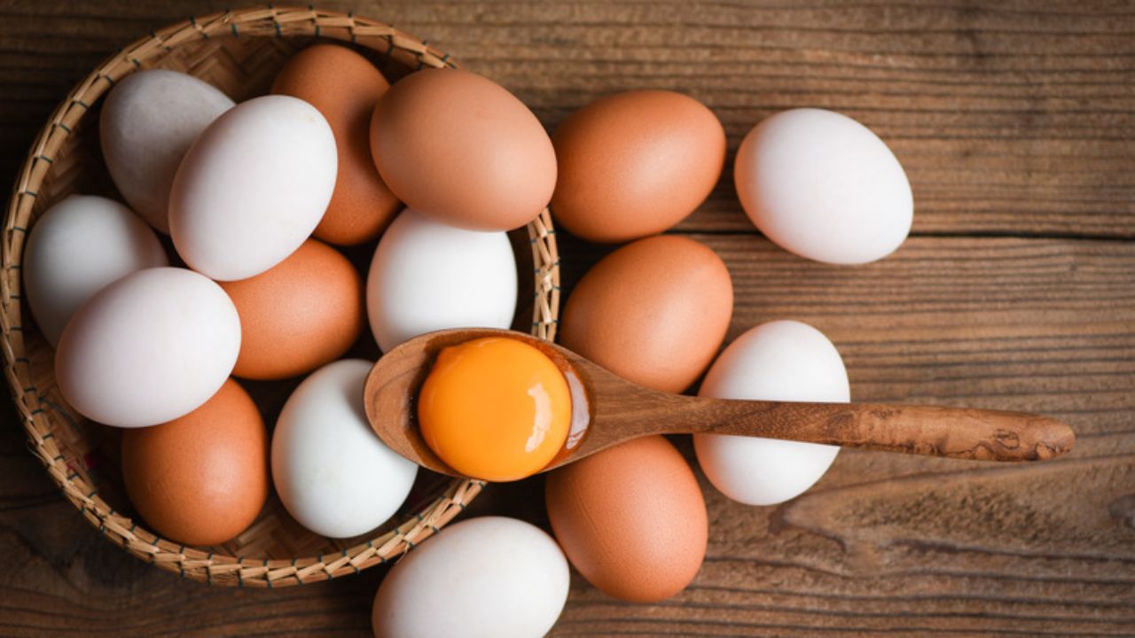 Eggs Quality Check: अंड ताजे आहे की खराब? न फोडता कसं ओळखायचं? करा ‘ही’ सोपी टेस्ट, क्षणात मिळेल उत्तर