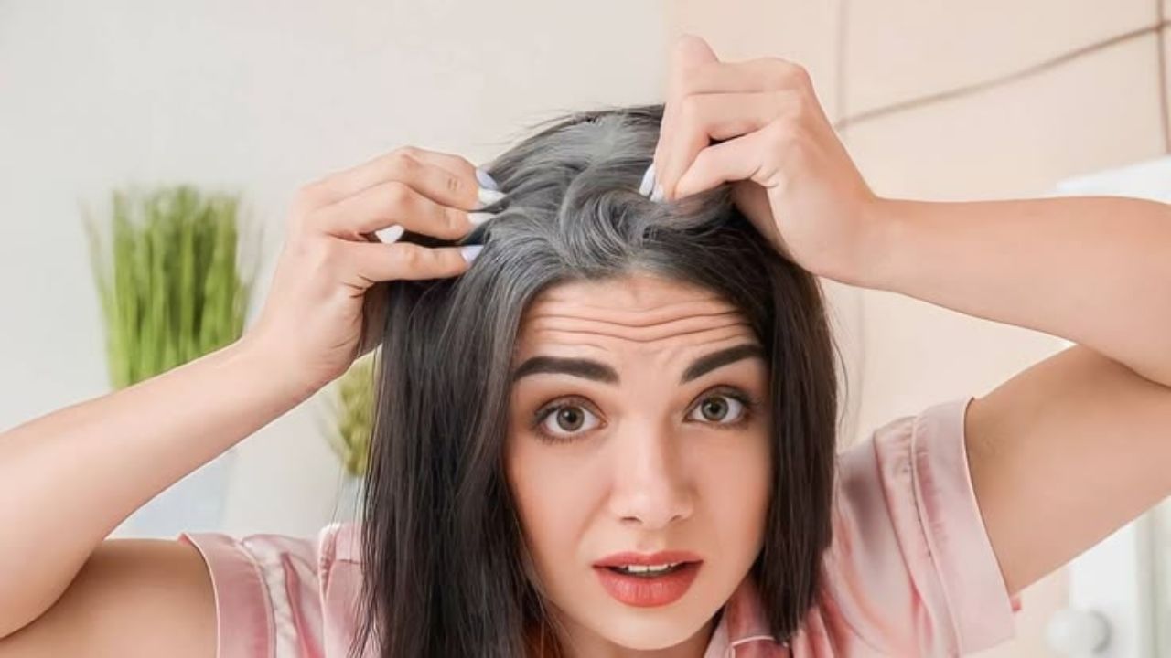 Grey Hair: तरुण वयात केस पांढरे होत आहेत? ‘या’ सवयी बदला, नाहीतर वाढू शकते समस्या