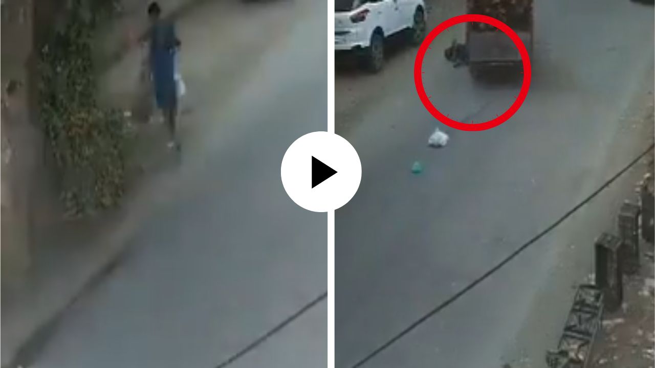श्वानाला पाहून पळाला अन् अपघाताला बळी पडला, घटना सीसीटिव्ही कॅमेरात कैद; Video Viral