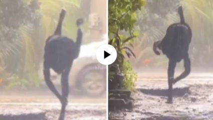 माणूस आहे की नागतोडा! खाली मान करत पावसात मारतोय उड्या, पाहून यूजर्स म्हणाले, ;हा तर मोरालाही लाजवेल’, हास्यास्पद Video Viral