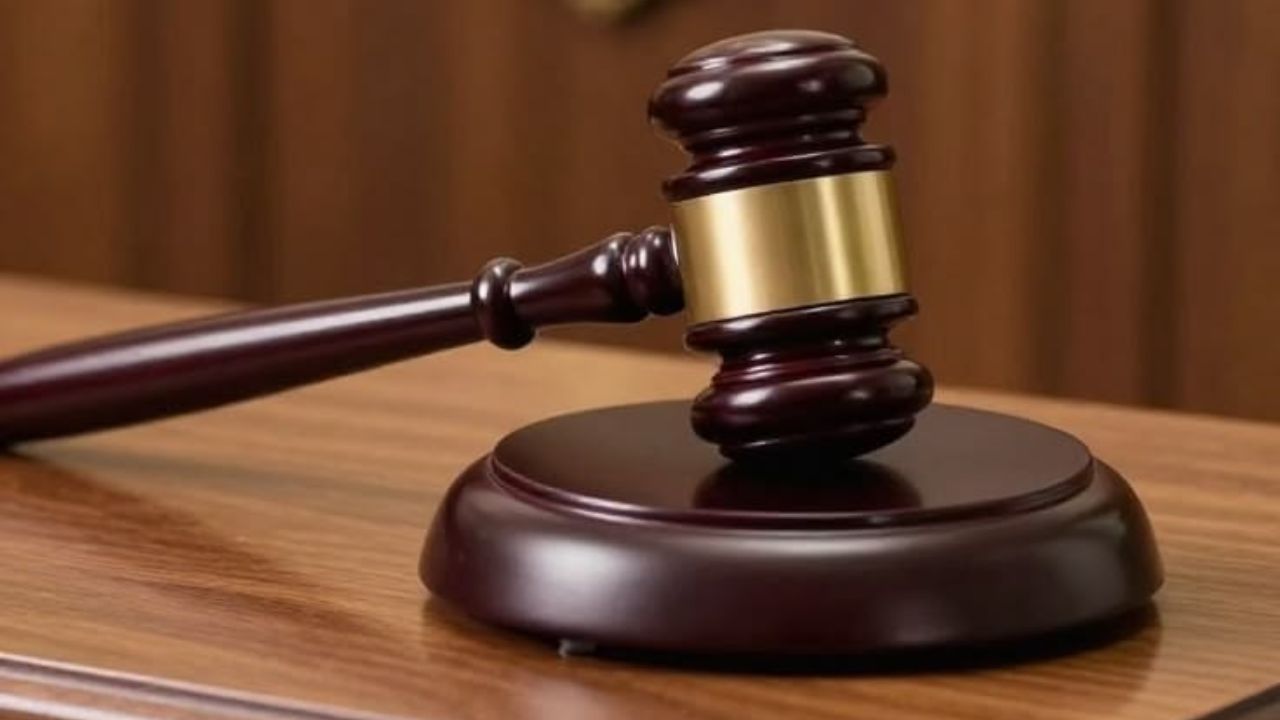 ‘सहानुभूती आहे, पण दिलासा नाही’; फेरपरीक्षेला मनाई, विद्यार्थिनीची याचिका उच्च न्यायालयाने फेटाळली