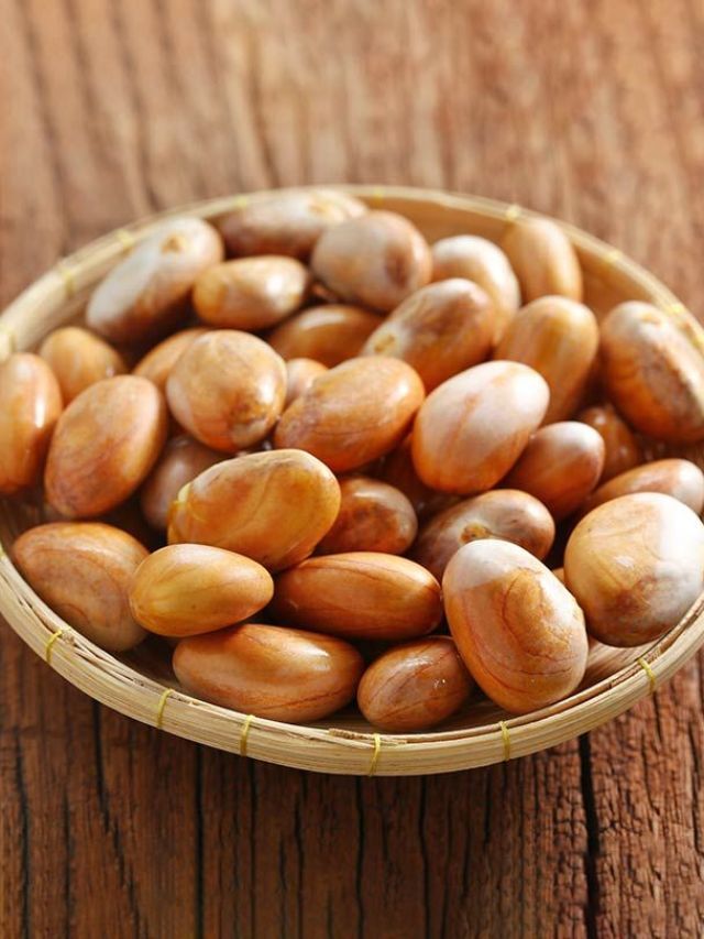 फणसाच्या बिया खाण्याचे काय आहेत आरोग्यदायी फायदे
