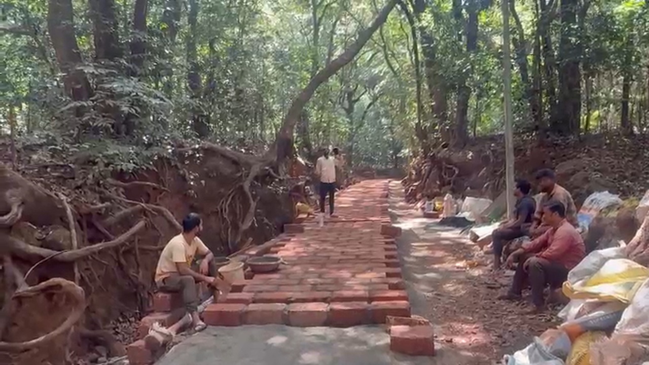 सर्वोच्च न्यायालयाच्या आदेशांचे उल्लंघन? अनधिकृत बांधकामावर जिल्हाधिकाऱ्यांचा बडगा; बेबी डिसुझा रस्त्यावरील कामावर कारवाईचे आदेश