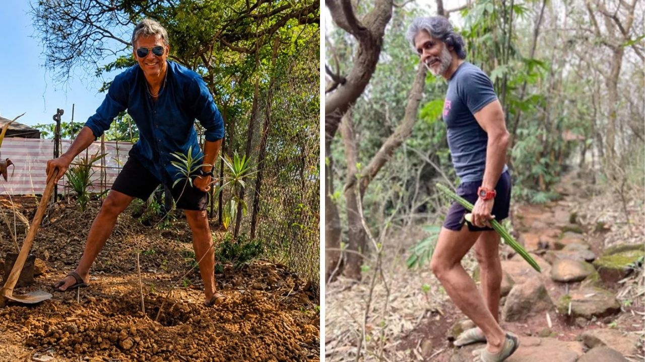 Milind Soman Tree Plantation : पर्यावरणासाठी मिलिंद सोमन यांचा मोठा पुढाकार; लोणावळ्यातील घराजवळ लावली 30 हजार झाडे