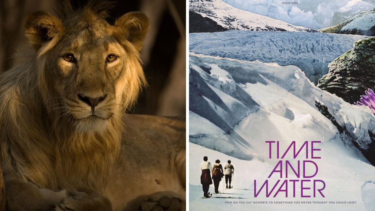 MIFF 2026 मध्ये नॅशनल जिओग्राफिकची खास पर्वणी; ‘Time and Water’चा भारतीय प्रीमियर, डेव्हिड अ‍ॅटनबरो यांना मानवंदना