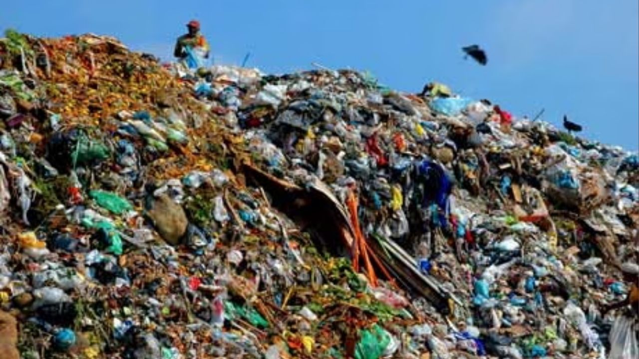 Washim News : खामगावात दररोज ३० टन कचऱ्याचे संकलन; ४० घंटागाड्यांमुळे स्वच्छतेला गती, मात्र डम्पिंग यार्डवरील आगींचे संकट कायम