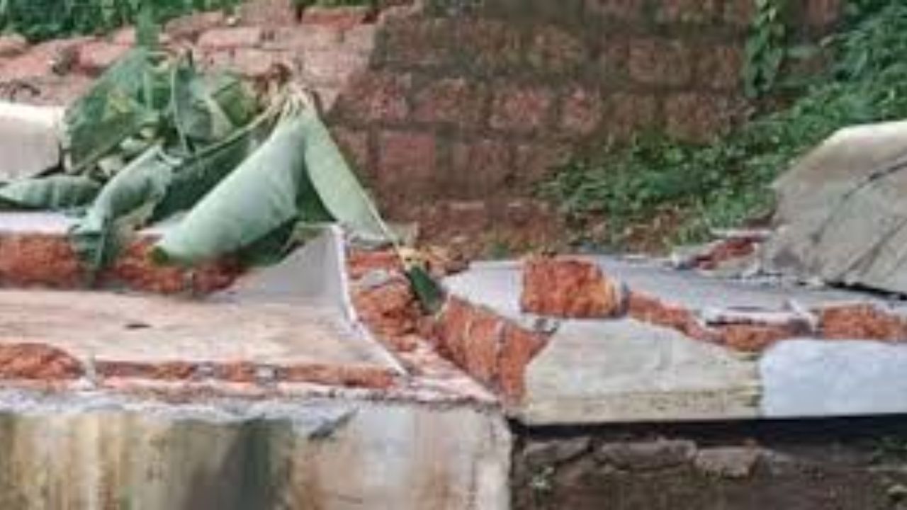 Buldhana News : पर्यावरण दिनीच वृक्षतोड; खामगाव नगर परिषदेच्या कारभारावर प्रश्नचिन्ह, पर्यावरणप्रेमींचा आंदोलनाचा इशारा