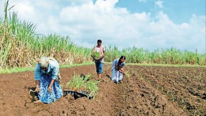 पावसाच्या प्रतीक्षेत बळीराजा; मशागत पूर्ण, पण पेरण्या रखडल्याने शेतकऱ्यांची चिंता वाढली
